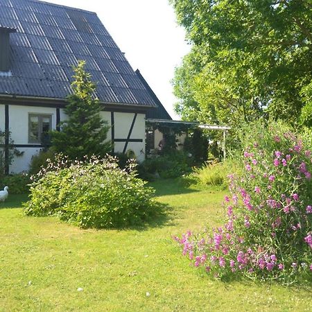 Byens Rareste B&B Harlev  Екстериор снимка