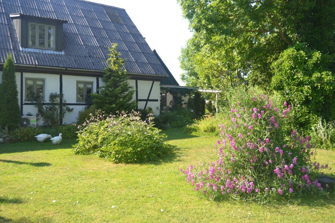 Byens Rareste B&B Harlev  Екстериор снимка