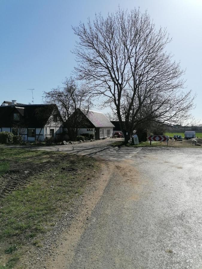 Byens Rareste B&B Harlev  Екстериор снимка